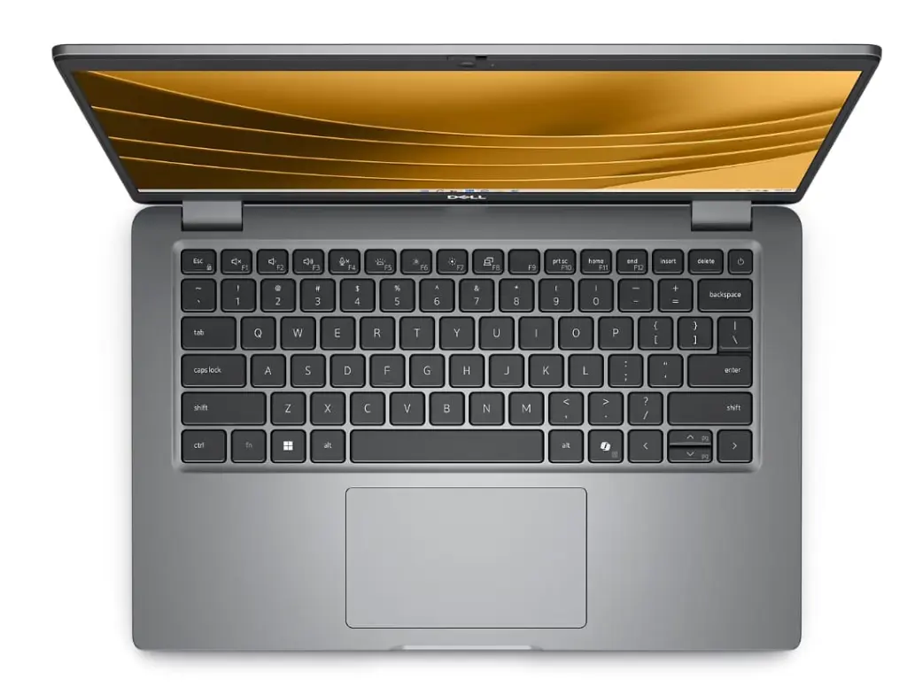 3.webp